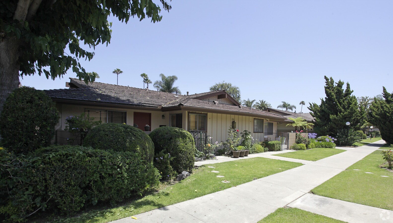 Photo - Coco Palms Apartments