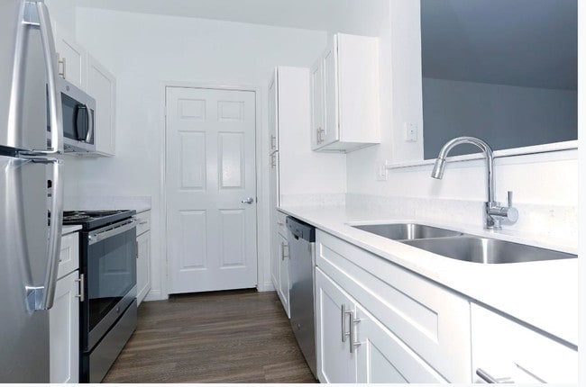 Photo - Big Horn at Black Mountain