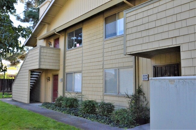 Building Photo - Ground Floor Condo in Wonderful Warm Sprin...