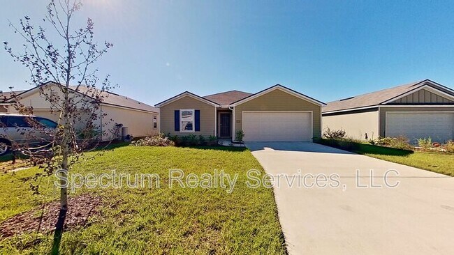 Photo - 12452 Rubber Fig Ter