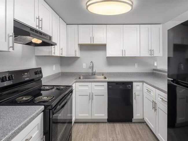 Photo - Majestic Bay