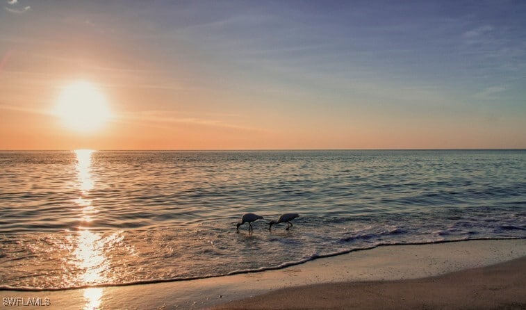 Photo - 9054 Capistrano St N Unit 4003