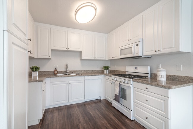Designer Kitchens with Gas Appliances
