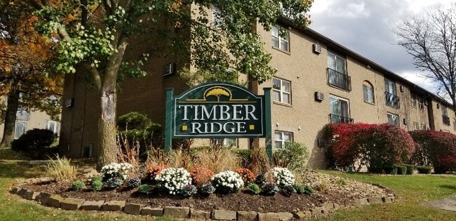 timber ridge apartments for rent in new stanton pa forrent com