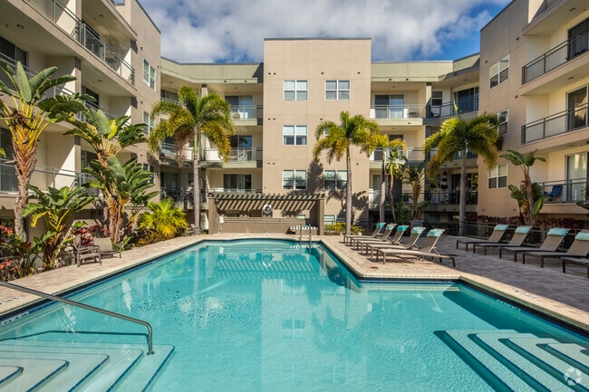 Building Photo - Mosaic Westshore Apartments