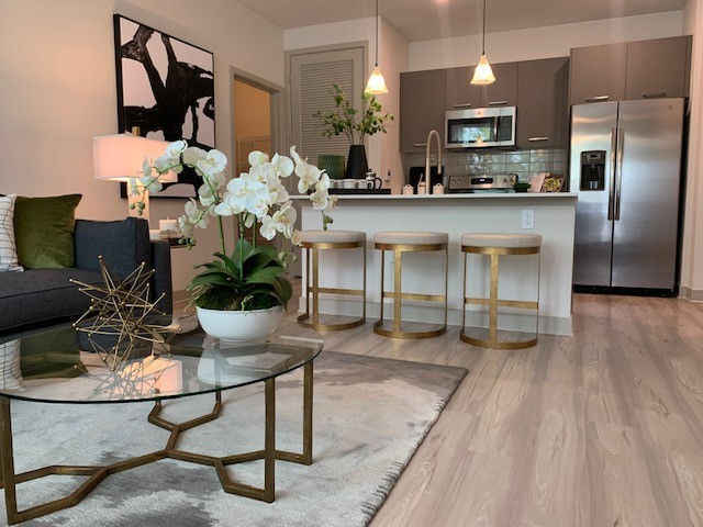 Photo - Aurora on the Trail