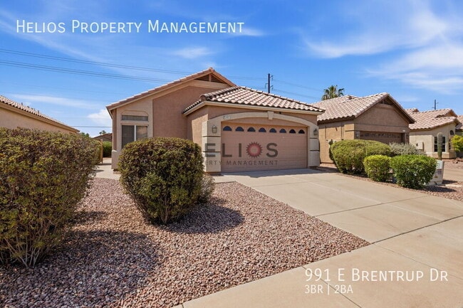 Building Photo - 991 E Brentrup Dr