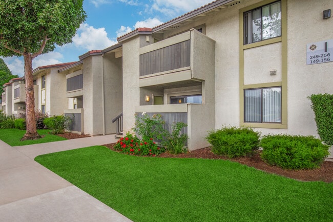 Cassia Apartments