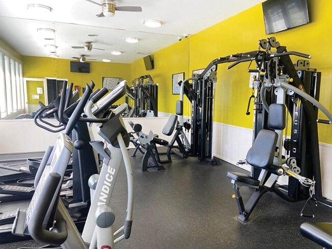 Stay Healthy & Get Fit