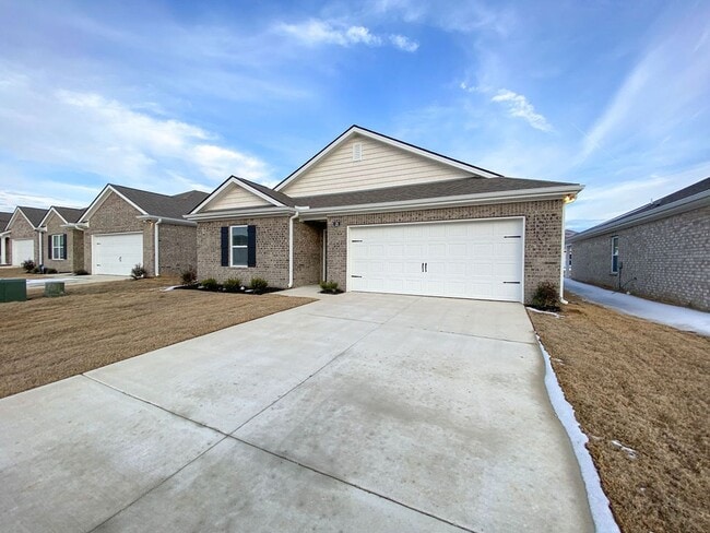 Building Photo - 3 bed 2 bath new construction by DR Horton