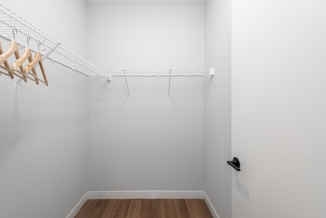 The Flats Model Walk-in Closet
