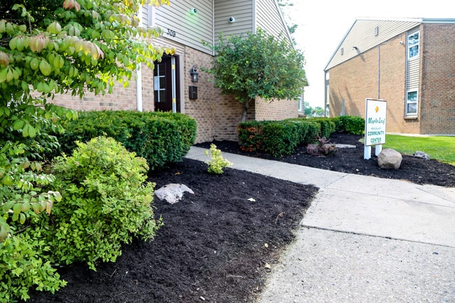 Photo - Maple Leaf Apartments