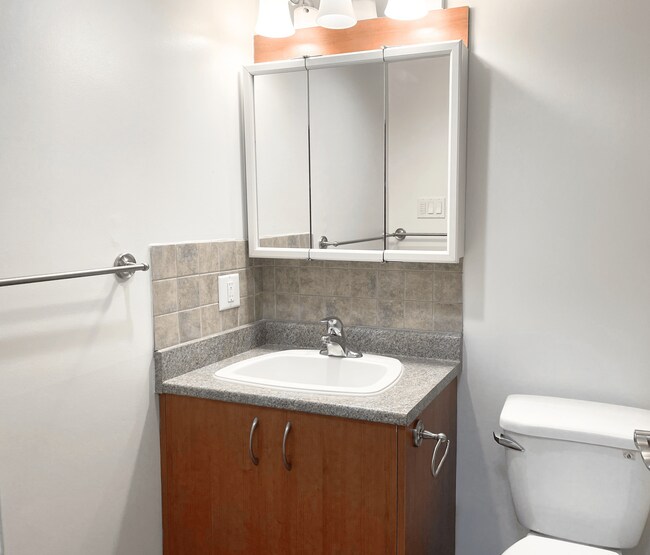 Photo - Craigflower House