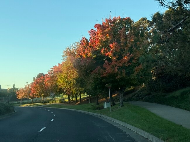 Photo - 2033 Silvercrest Dr