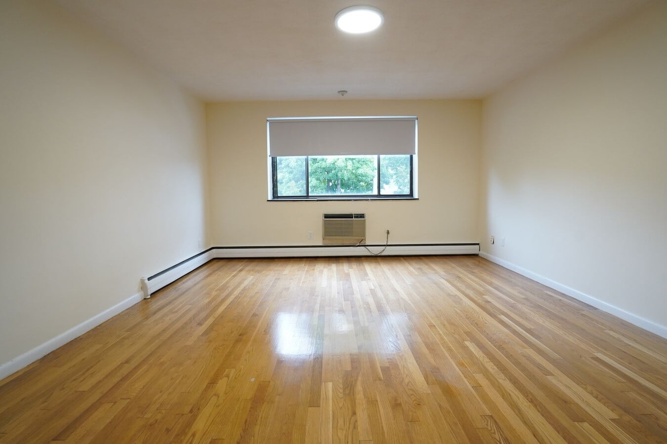 Photo - Brookline Bu Area Modern Huge Studio Laundry AA Elevator, Dishwasher , Students ok  No FEE