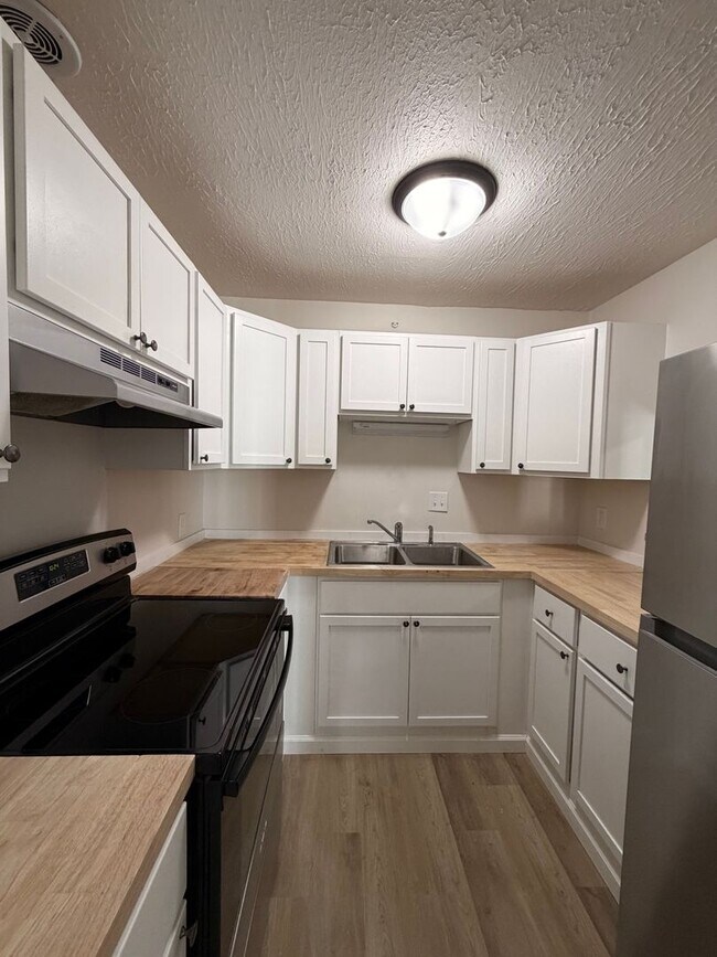 Newly Renovated Apartments