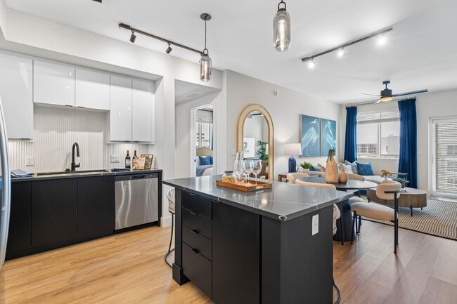 Photo - Tortoise One