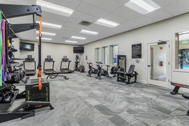 Photo - Venetian Bridges