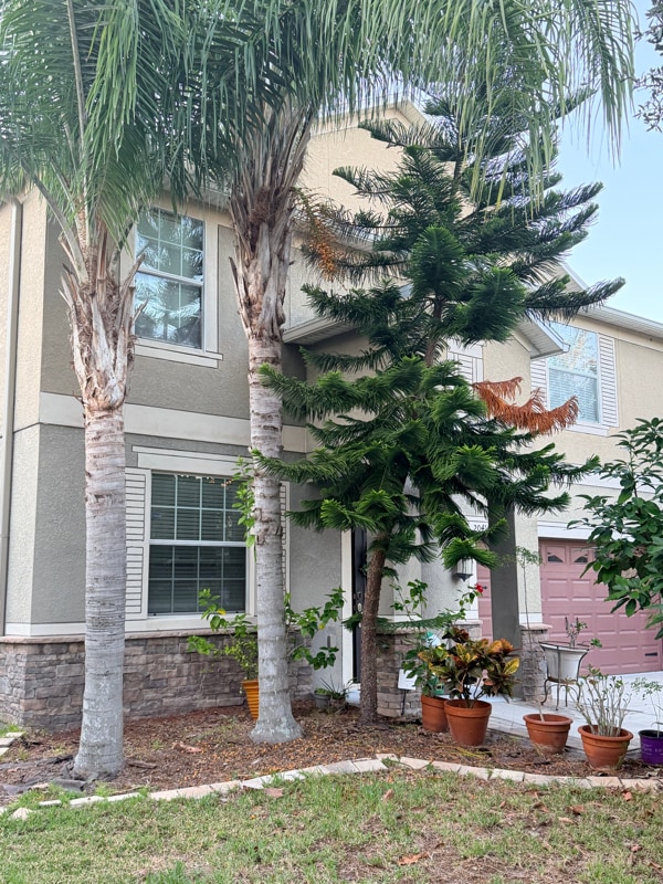 Photo - 20414 Carolina Cherry Ct