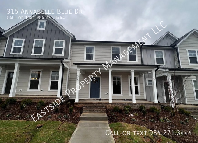 Building Photo - 315 Annabelle Blue Dr