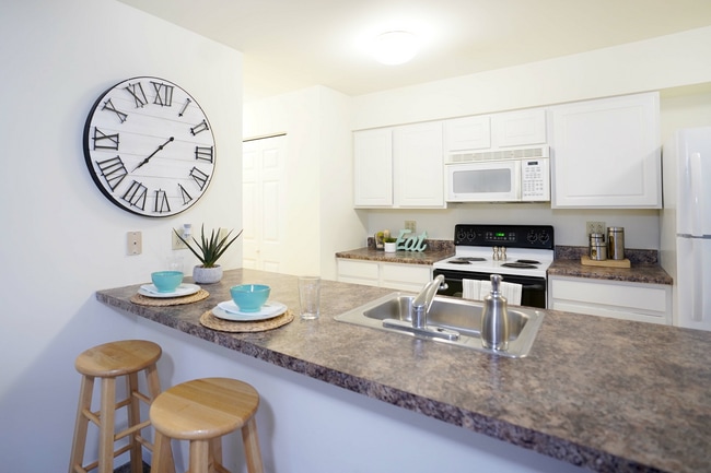 Commons at Mansfield Apartments - Commons at Mansfield Apartments