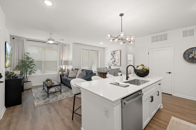District Collection apartments — community photo
