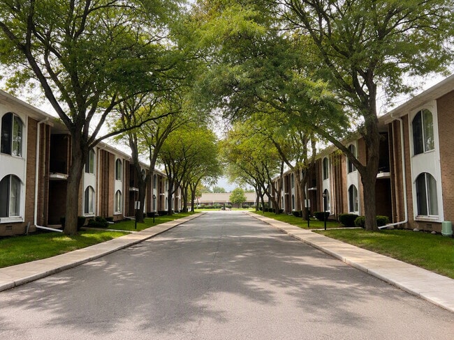 Tree-Lined Main Entrance