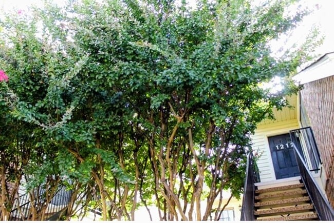 Building Photo - 2428 Forest Brook Ln Unit 1212