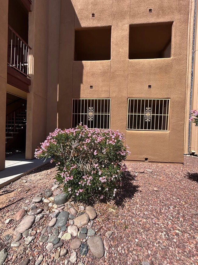 1810 E Blacklidge Dr Unit 204