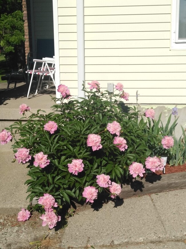 Photo - 4450 E Atherton Rd Unit 1