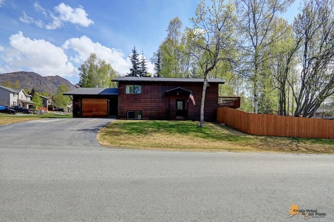 Photo - Birch Lane in Eagle River