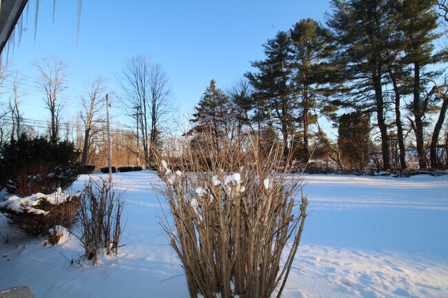 Photo - Beautifully remodeled and completed 1 bedroom apartment. FREE MONTH OF RENT!* Unit 14311 Rt. 9W -  15