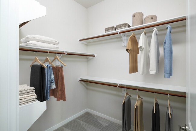 Spacious walk-in closet