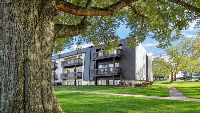 Photo - Compass Vista