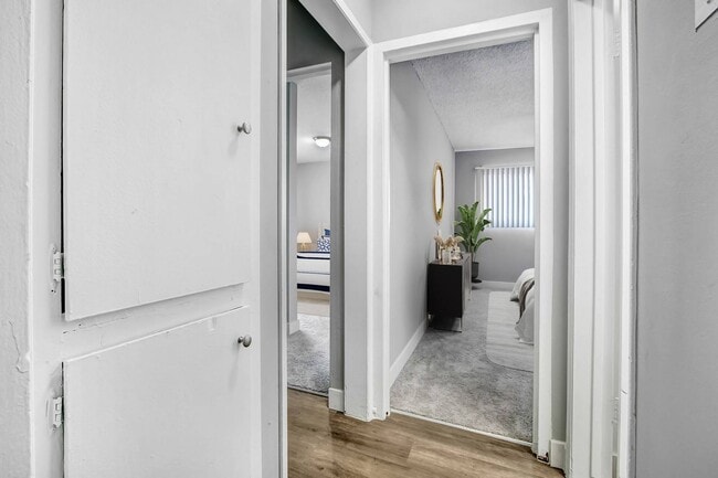 Photo - Park Vanowen Apartments