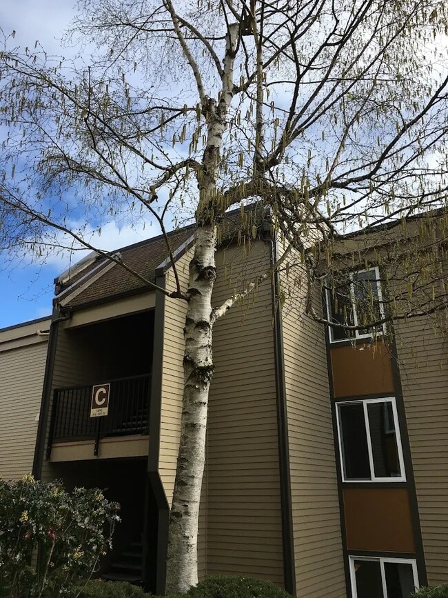 Building Photo - 14600 NE 32nd St Unit C-15 Rental