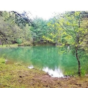 Photo - 2015 Union School Rd SW