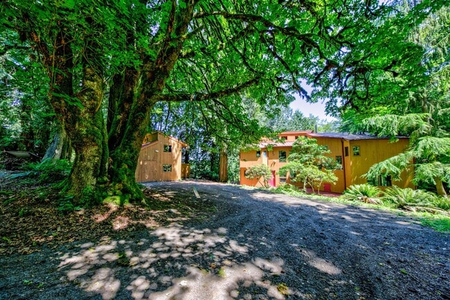 Photo - Private 3 Bedroom Home in the Woods