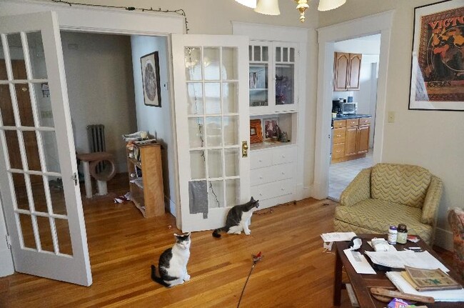 Building Photo - 151 Forest Hills St Unit 1 Rental