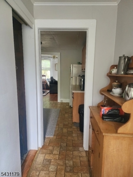 Photo - 17 Budd St