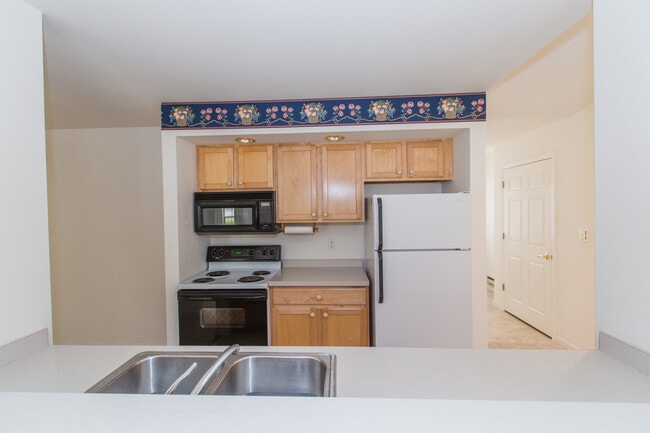 Photo - Whitetail Run