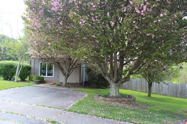 7 Crouch Ct