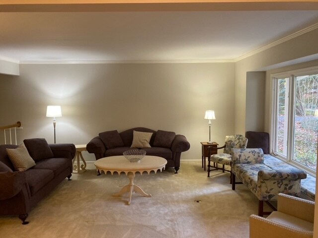 Photo - 229 Portchester Rd