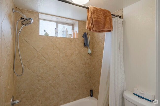 1BR, 1BA - 295SF - Bathroom
