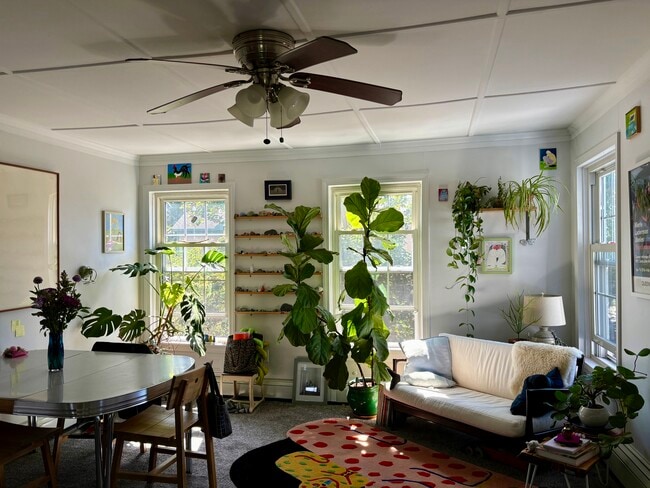 Photo - 15 Gould St Apartments Unit #2