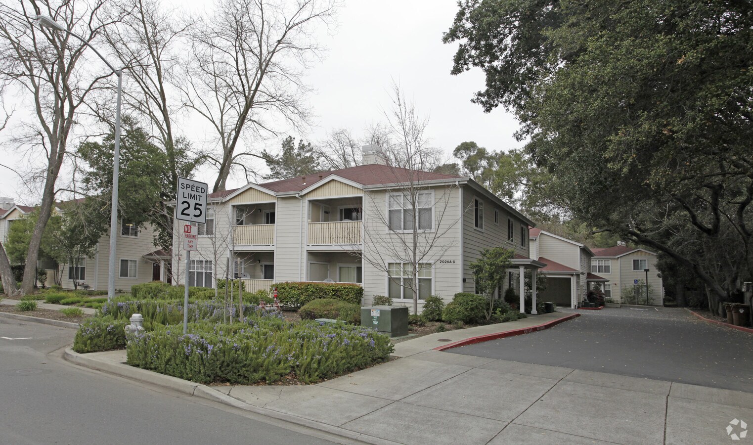 Pecan Court Apartments - Pecan Court Apartments