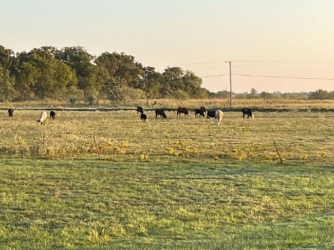 Building Photo - 5260 SW 1140