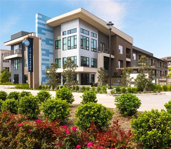 The Briscoe Apartments Dallas, TX