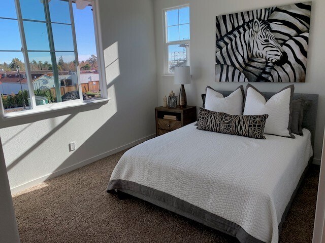 Photo - Oliva Apartments