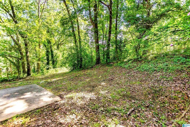 Photo - 2415 Ormond Dr